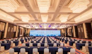 蓝海集团董事长安总